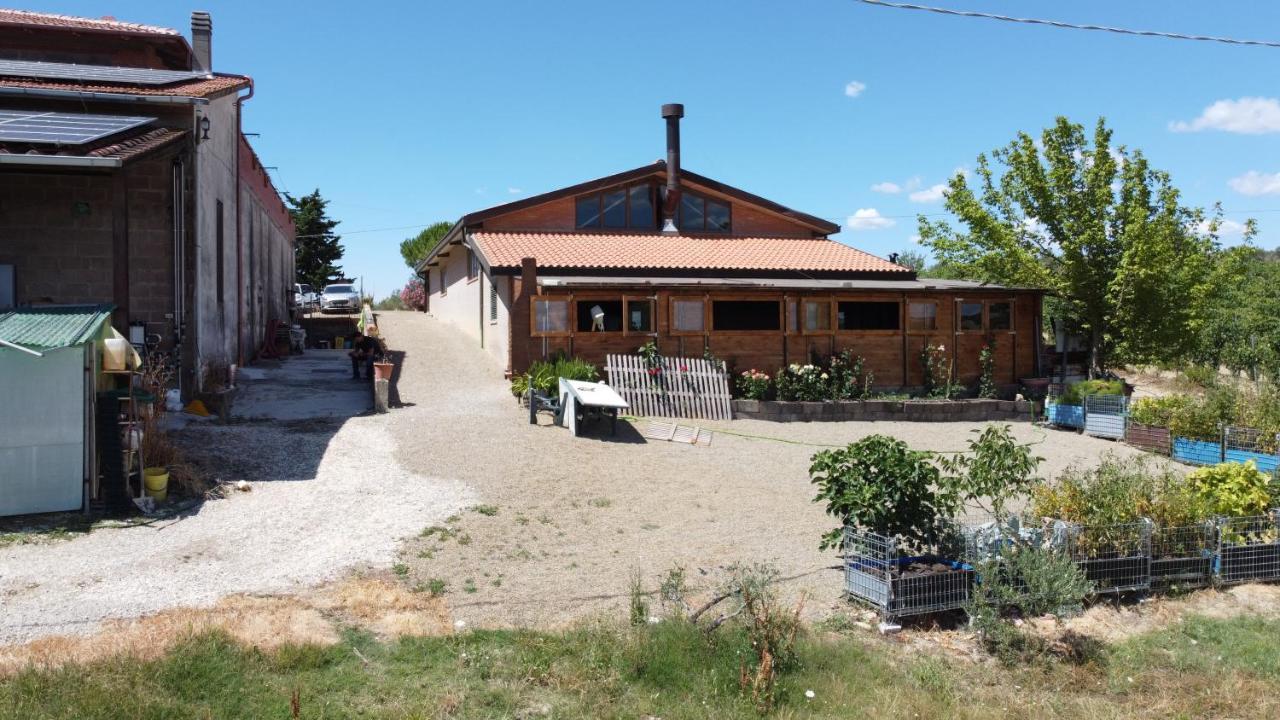 Apartmán Az.Agr.Poggio Regini Castellina in Chianti Exteriér fotografie