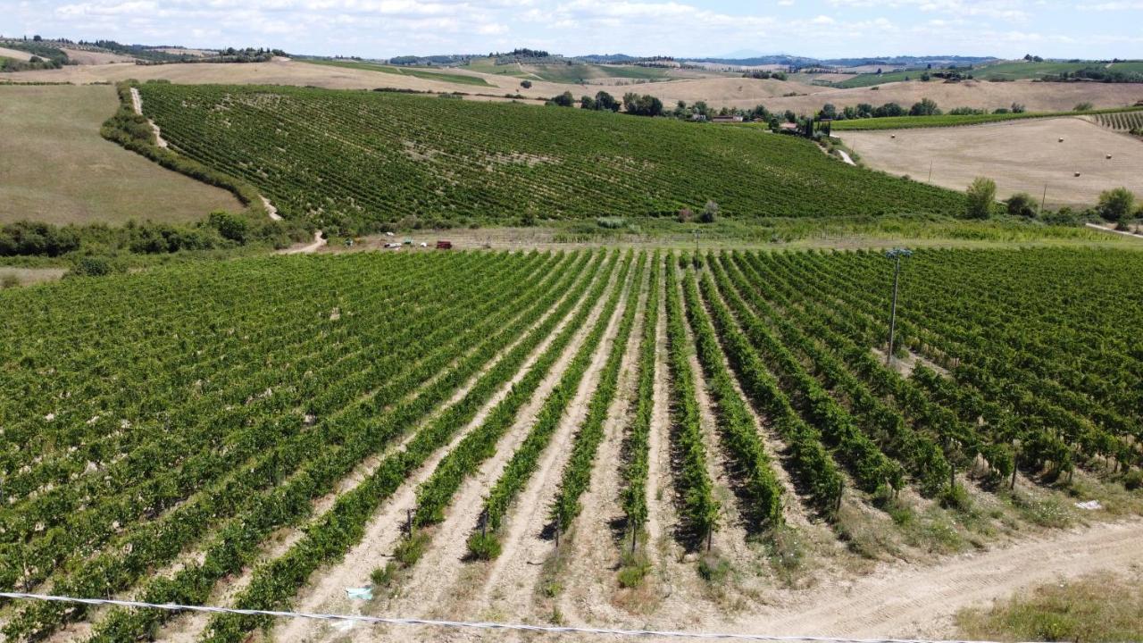 Apartmán Az.Agr.Poggio Regini Castellina in Chianti Exteriér fotografie