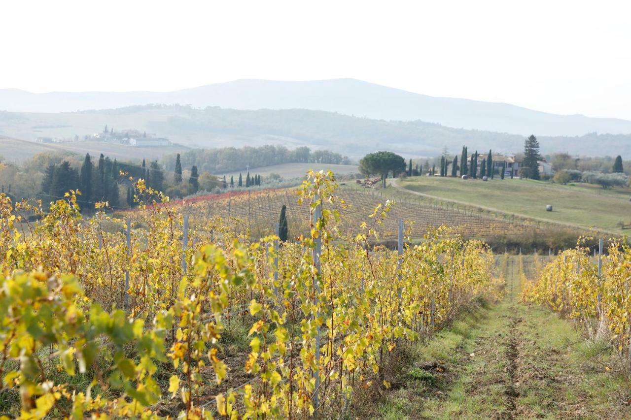 Apartmán Az.Agr.Poggio Regini Castellina in Chianti Exteriér fotografie